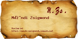 Mándi Zsigmond névjegykártya